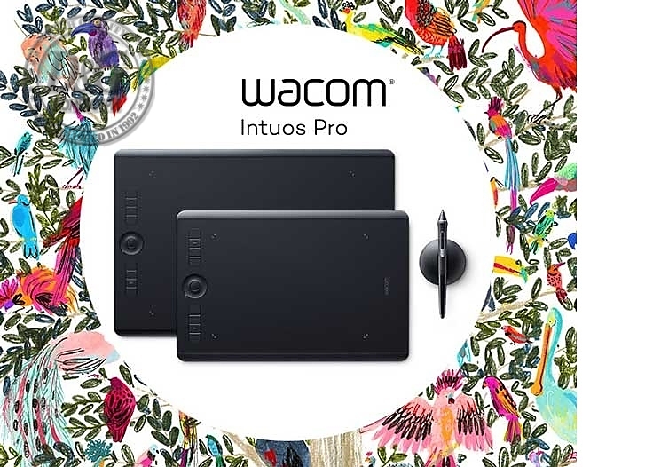 Wacom Intuos Pro L