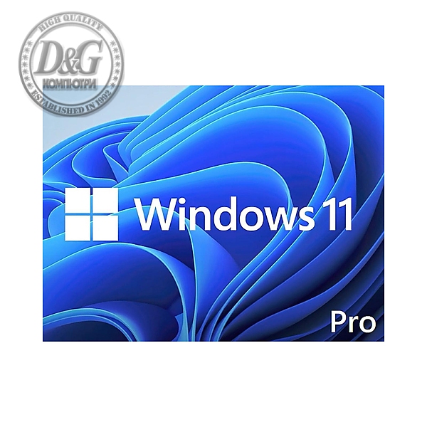 WIN 11 PRO 64BIT ENG DSP DVD