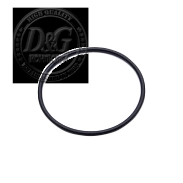 EK-D5 Pump O-Ring