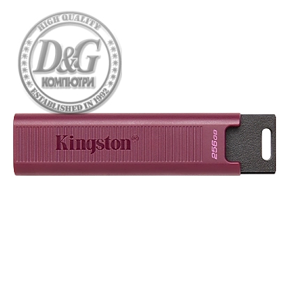 256GB USB3.2 DTMAXA KINGSTON