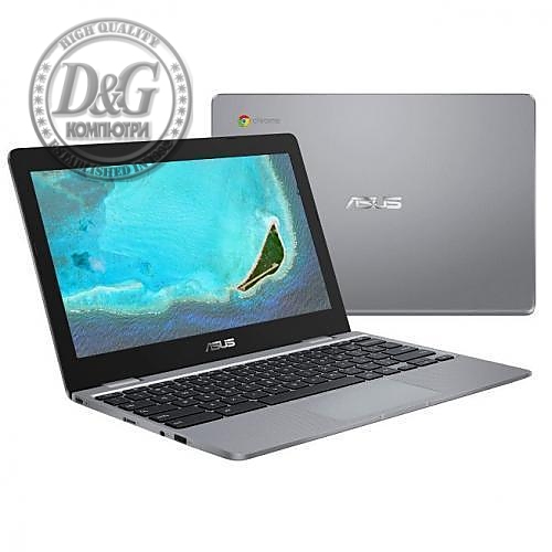 ASUS C223NA-GJ0055