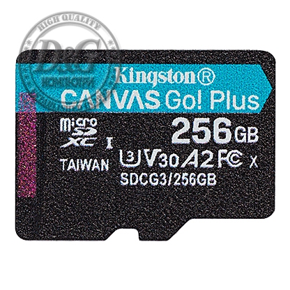 256G SDMIC KINGST CANVAS GO+