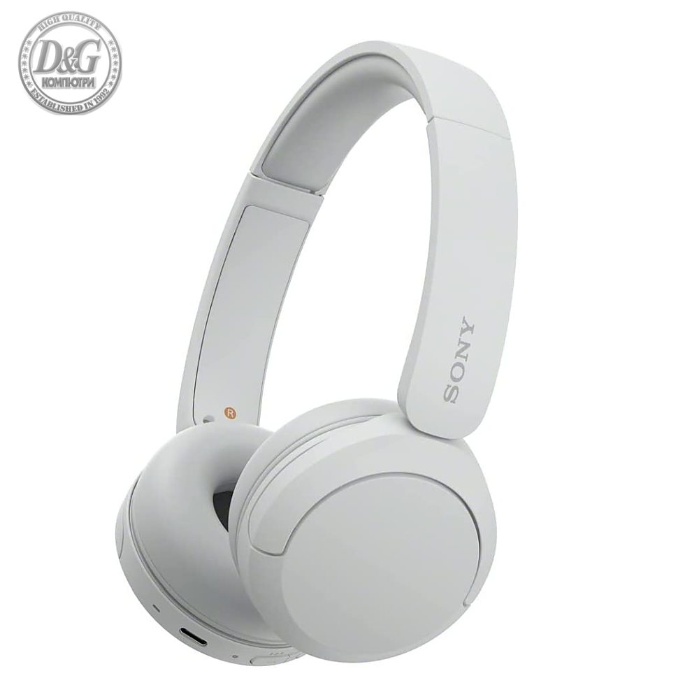 Sony Headset WH-CH520, white