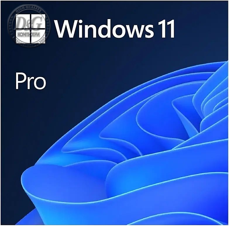 WIN 11 PRO 64BIT ENG USB FPP