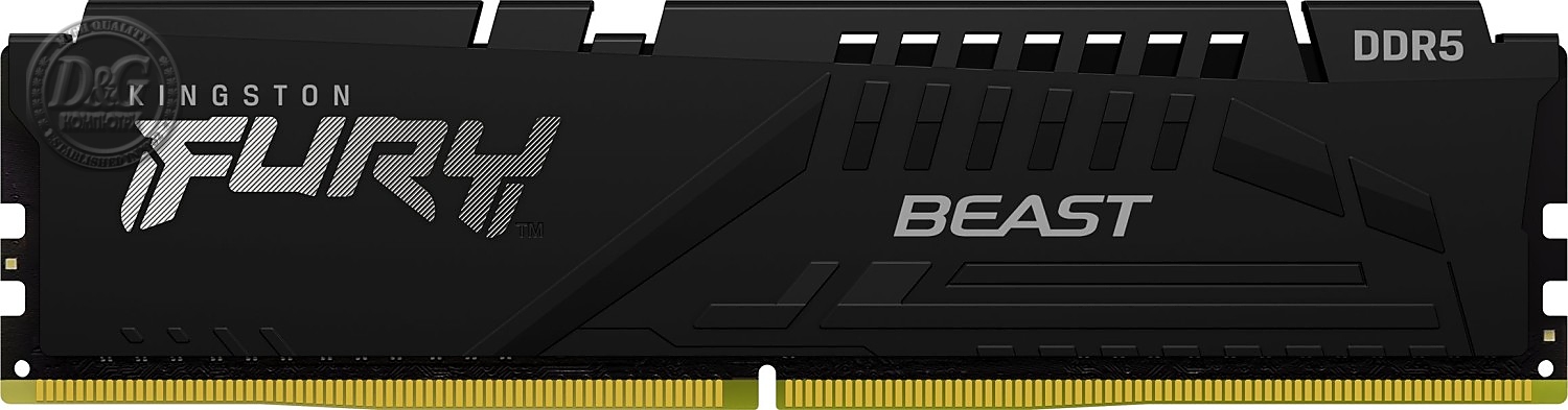 16G DDR5 6000 KING EXPO BEAST