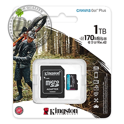 1TB SDMIC KINGST CANVAS GO+