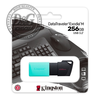 256GB USB3.2 DTXM KINGSTON