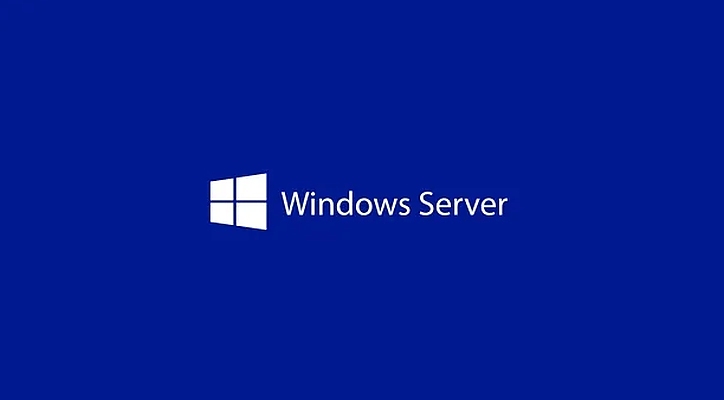 Windows Server CAL 2025 English 1pk DSP OEI 1 Clt Device CAL