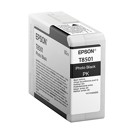 Epson Singlepack Photo Black T850100