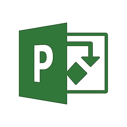 Microsoft Project Standard 2021 Win English Medialess