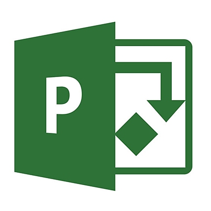 Microsoft Project Pro 2021 Win English Medialess