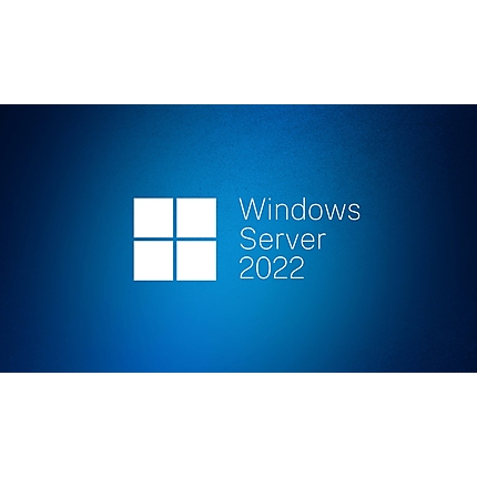 Windows Server CAL 2022 English 1pk DSP OEI 1 Clt Device CAL