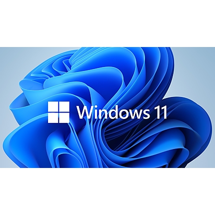 Microsoft Windows 11 Pro GGK 64Bit Eng Intl 1pk DSP ORT OEI DVD