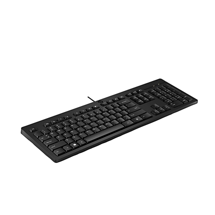 HP 125 Wired Keyboard