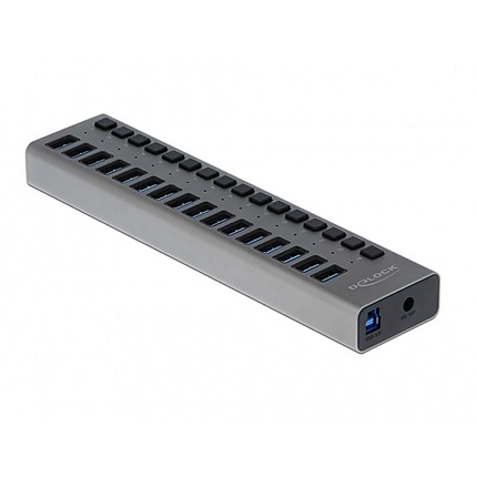 USB хъб Delock 63739, 16 Ports + Switch, Висока скорост, Подсветка, Сив