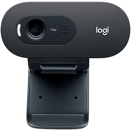 LOGITECH C505 HD Webcam - BLACK - USB- EMEA - 935