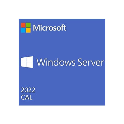 Dell Software, Microsoft WS 2022 50CALs User