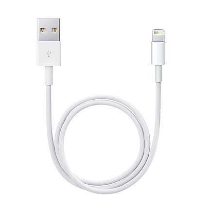 Apple Lightning to USB cable (0.5m)