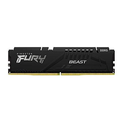 32G DDR5 5600 KING EXPO BEAST