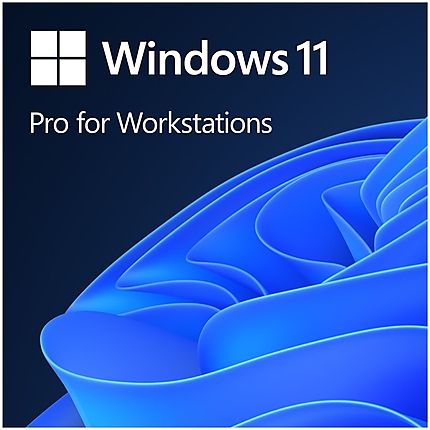 Win 11 Pro for Wrkstns 64Bit Eng Intl 1pk DSP OEI DVD