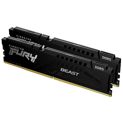 2X1G DDR5 5600 KING FURY BEAST