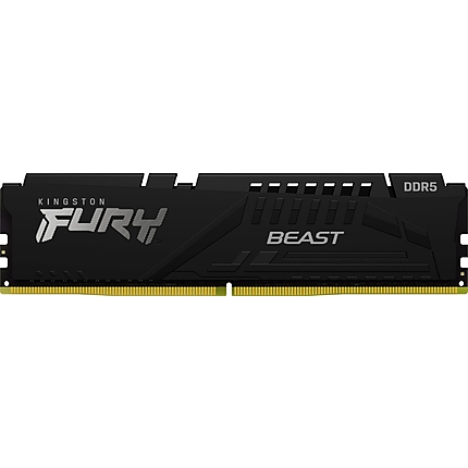 16G DDR5 6000 KING EXPO BEAST