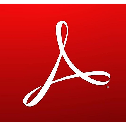 Acrobat Standard DC for teams 1 user 1 year