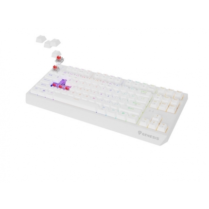 Genesis Gaming Keyboard Thor 230 TKL Wireless US White RGB Mechanical Outemu Red