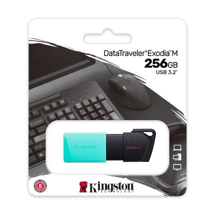 256GB USB3.2 DTXM KINGSTON