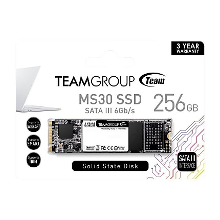 SSD Team Group MS30 M.2 2280 256GB SATA III