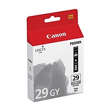 Canon PGI-29 GY