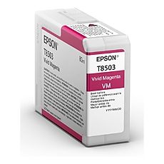 Epson Singlepack Magenta T850300