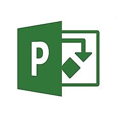 Microsoft Project Standard 2021 Win English Medialess