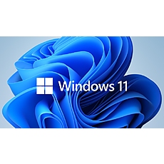 Microsoft Windows 11 Pro 64Bit English 1pk DSP OEI DVD