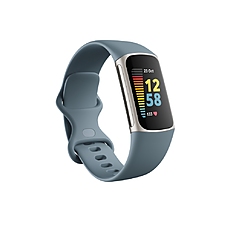 Fitbit Charge 5, Steel Blue, Platinum Stainless Steel