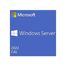 Dell Software, Microsoft WS 2022 50CALs User