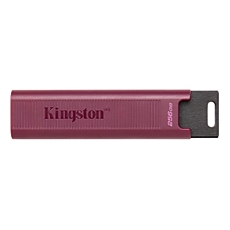 256GB USB3.2 DTMAXA KINGSTON