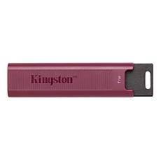 1TB USB3.2 DTMAXA KINGSTON