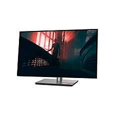 Lenovo ThinkVision P27h-30 27" 2K QHD 2560x1440, IPS, 1000:1, 4ms, 16:9, HDMI, DP, USB-C, 5x USB 3.2, Tilt, Swivel, Pivot, Height Adjust Stand, 3Y