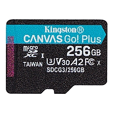 256G SDMIC KINGST CANVAS GO+