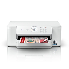 Epson WorkForce Pro WF-C4310DW