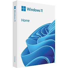 WIN 11 HOME 64BIT BULG USB FPP