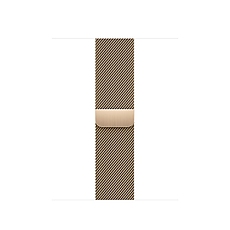 Apple 41mm Gold Milanese Loop