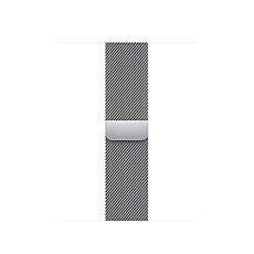 Apple 41mm Silver Milanese Loop