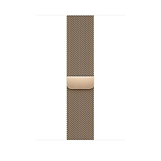 Apple 45mm Gold Milanese Loop