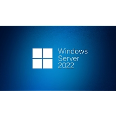 Windows Server CAL 2022 English 1pk DSP OEI 5 Clt Device CAL