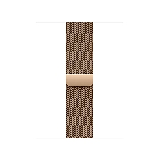 Apple Watch 40mm Milanese Loop: Gold Milanese Loop